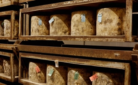 Cheddar Reborn: The Revival of an Artisan Cheese Industry