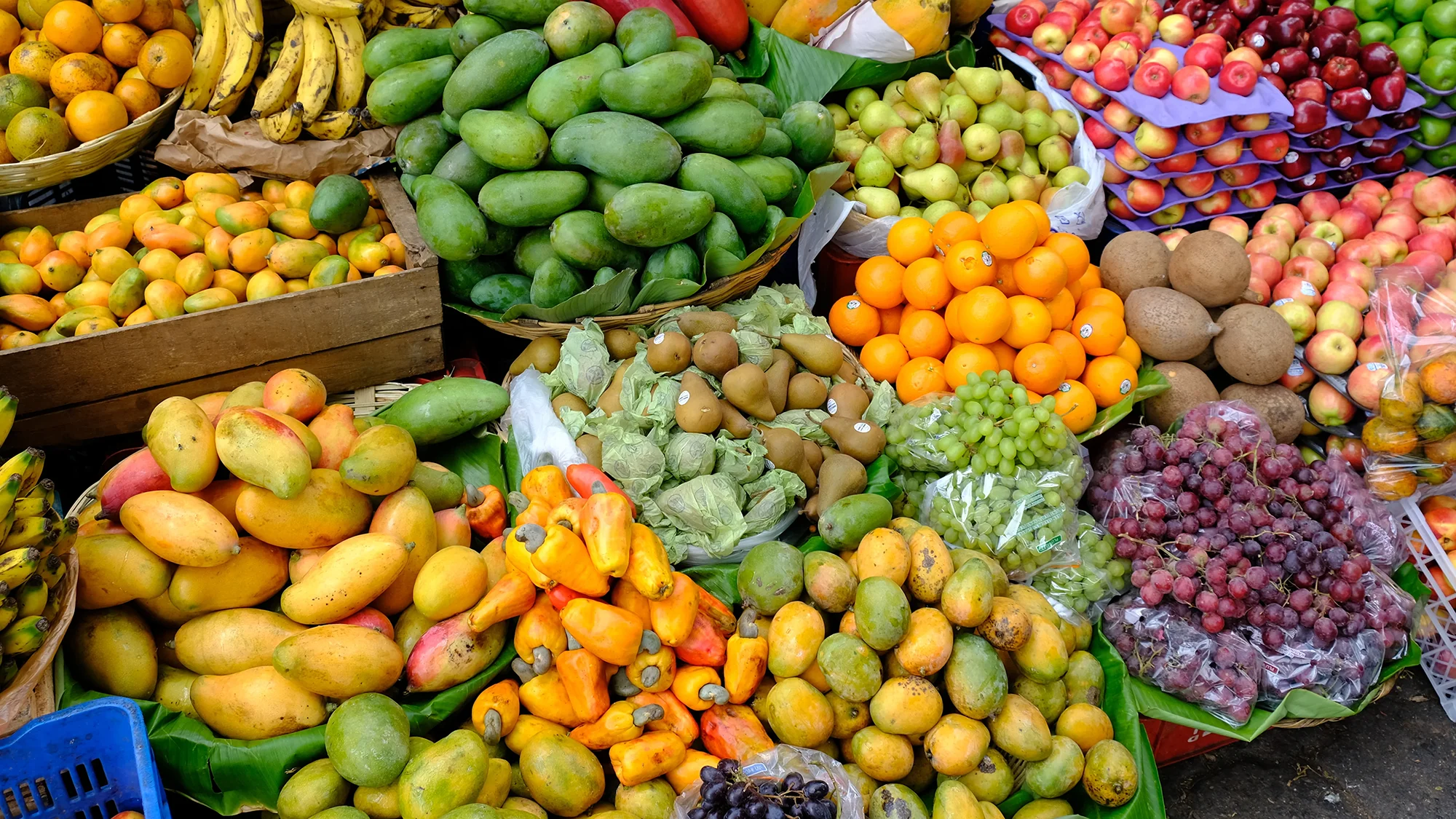 01_FoodAndColour_Banner.webp