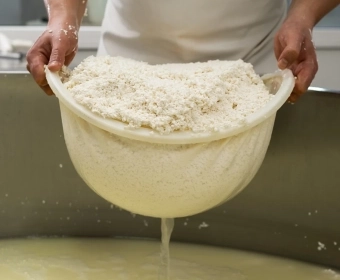 01_SustainableProteinPowders_Thumb.webp