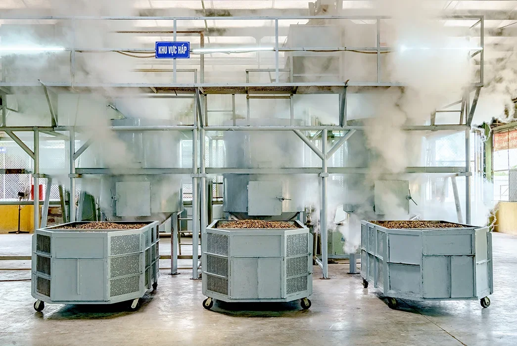 Cashew nut processing factory in Long An, Vietnam.