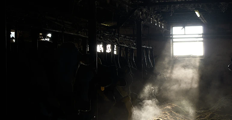 Capturing methane