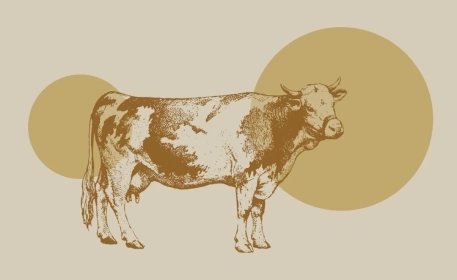 5 Ways To Lower Cattle Methane Emissions