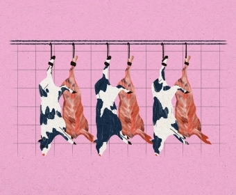 abattoirs_banner.webp