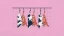 abattoirs_banner.webp