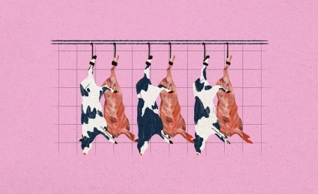 Small Abattoirs are Closing Fast | Why Does That Matter?