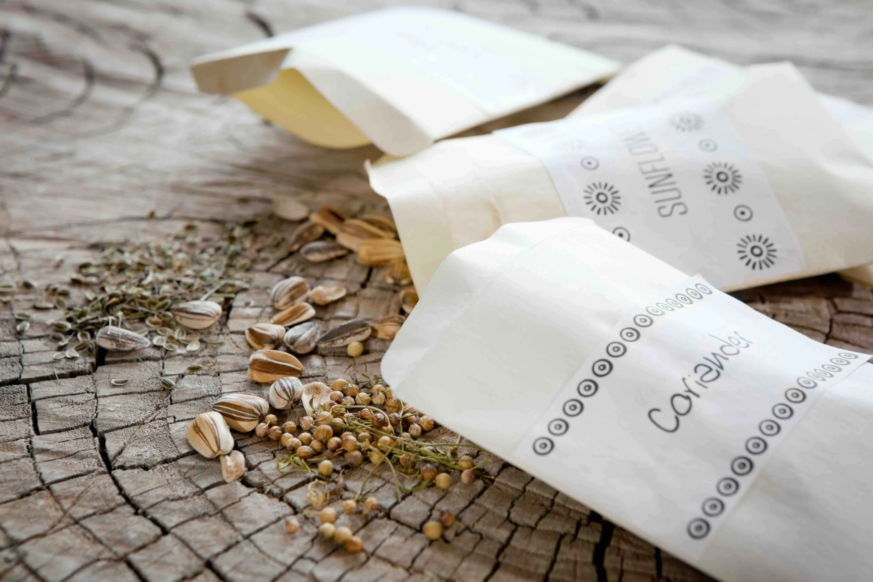 Semi e Piante Facebook Group (Italy): Sharing seeds for home gardening