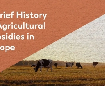 Agricultural_Subsidies-_What_Is_The_Common_Agricultural_Policy_.webp