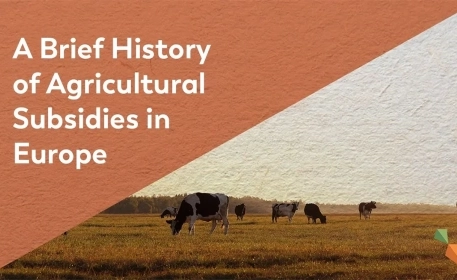 Agricultural Subsidies: What Is The Common Agricultural Policy?