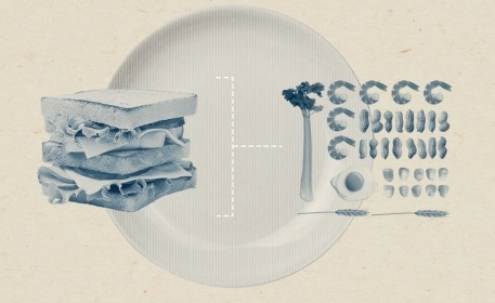 Allergens in food 