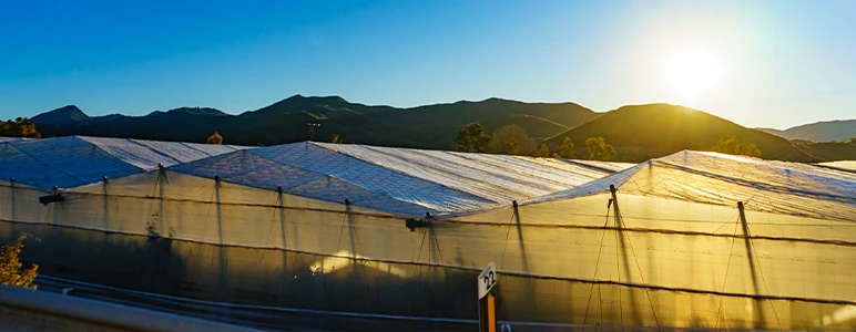 Greenhouse Agriculture