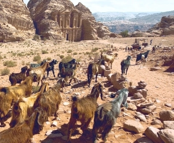Ancient_Farming_Thumb.webp
