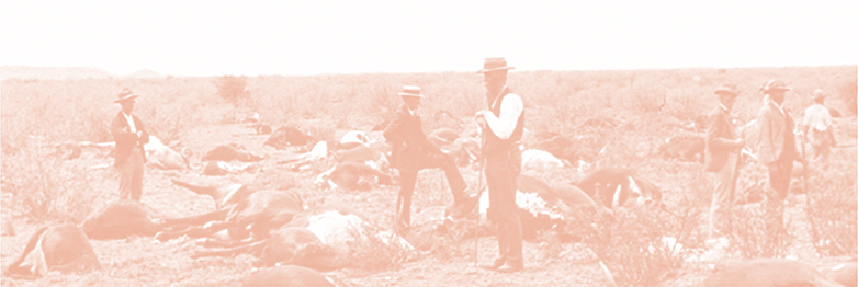 Rinderpest