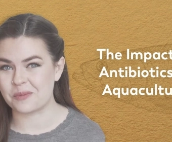 antibiotics.webp