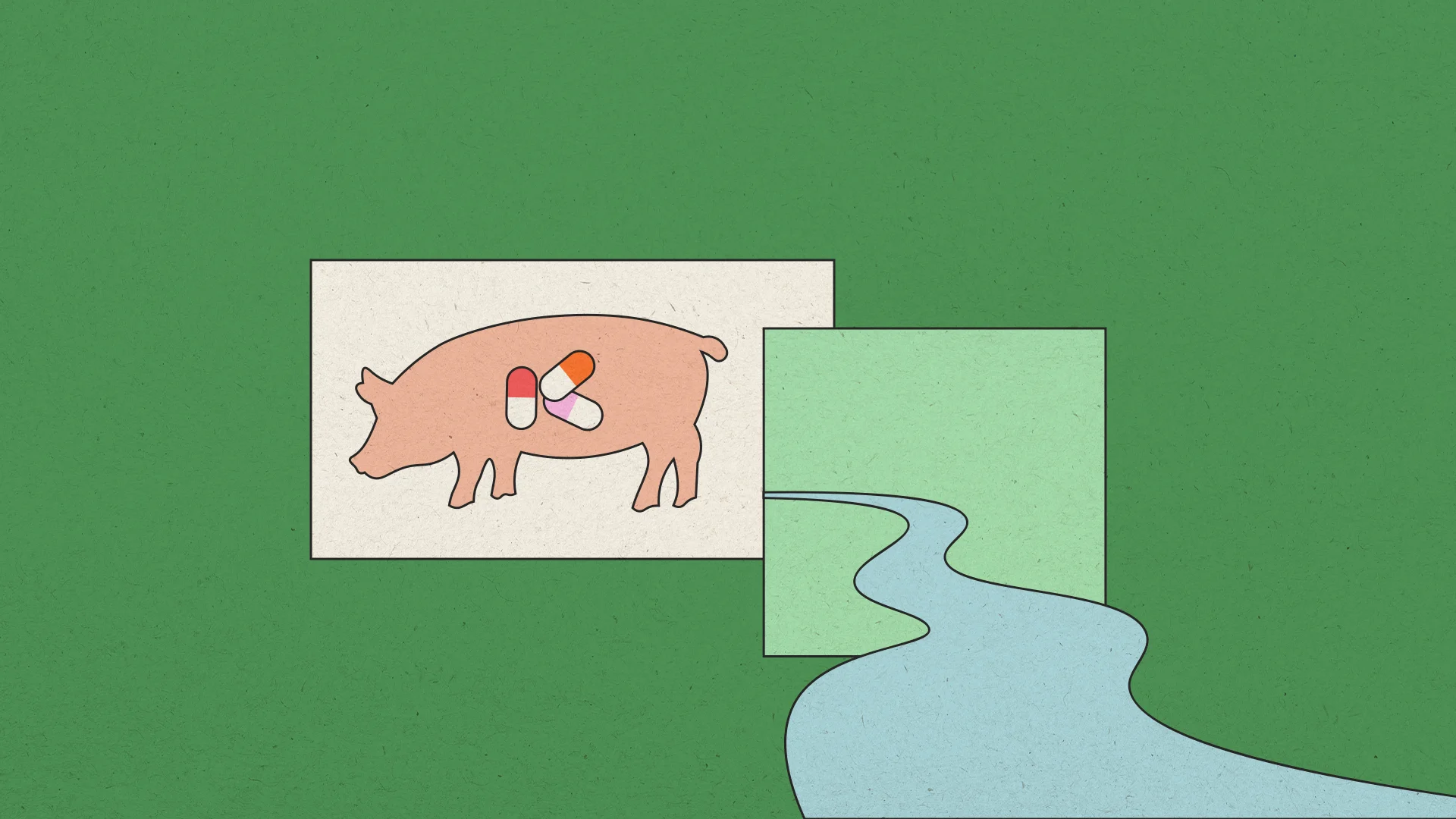 Antibiotics_farming.webp