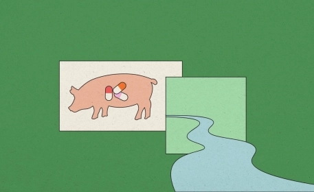 A Brief Guide to Antibiotics in Farming