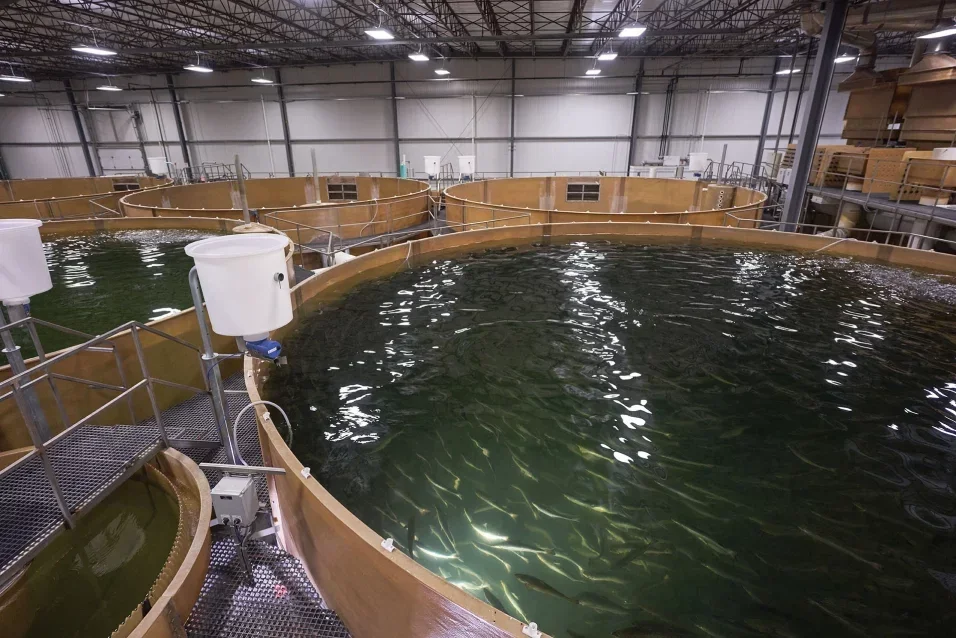 AquaBounty Technologies