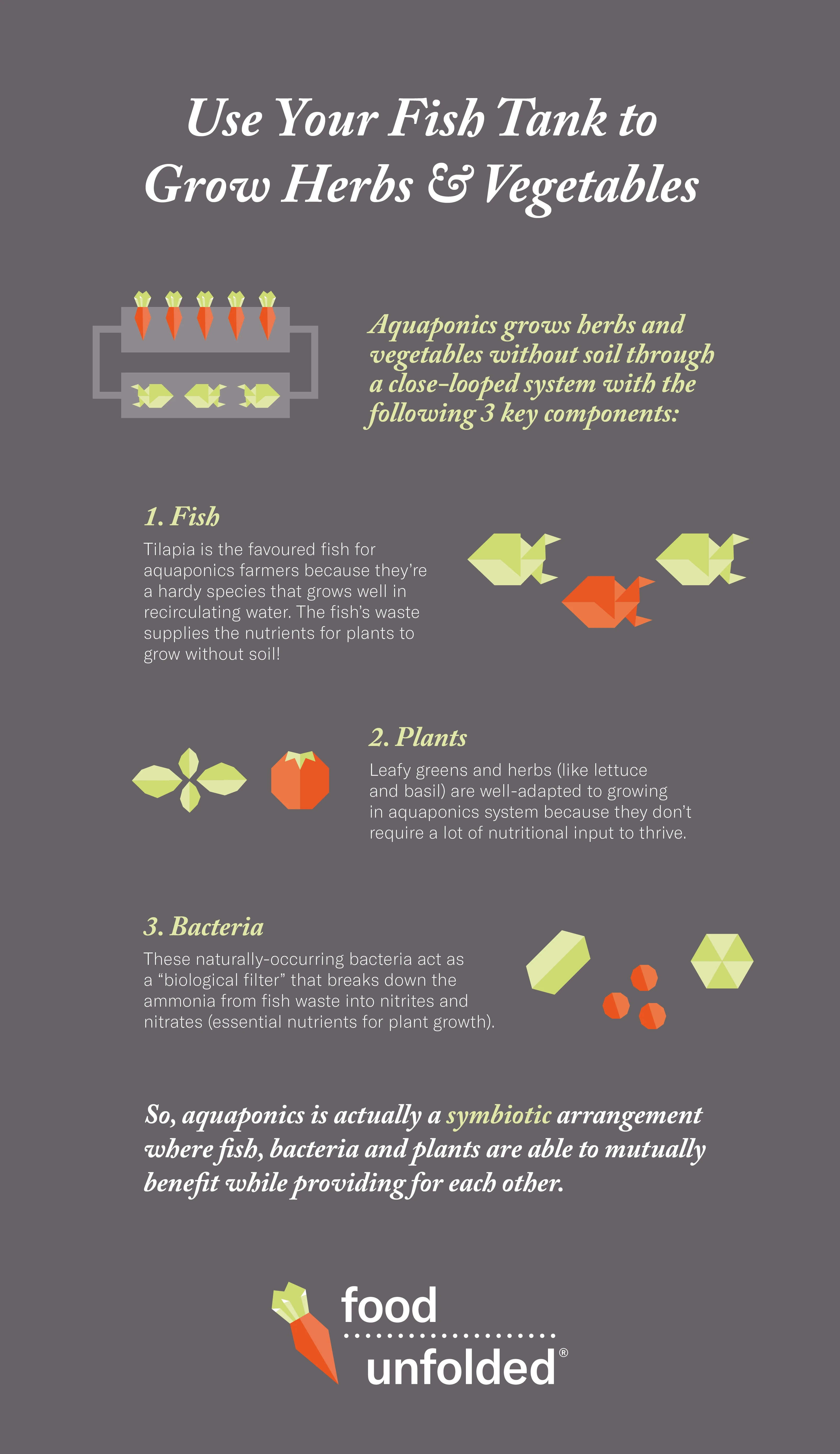 Grow herbs and vegetables in a fish tank