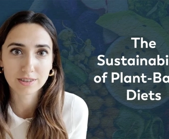 Are_Plant_Based_Diets_Really_More_Sustainable__|_FoodUnfolded_Explains.webp