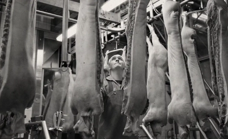 Are Edible Animal By-Products Being Wasted?