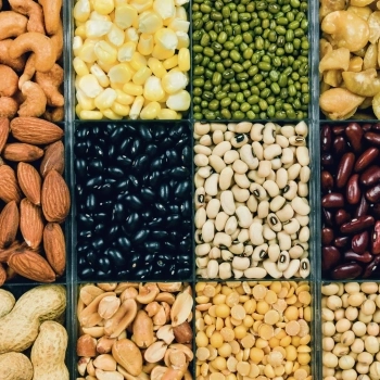 What Are Antinutrients?