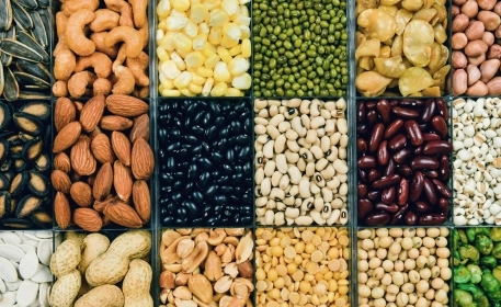 What Are Antinutrients?