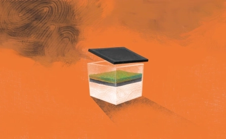 Carbon Farming | Is It Really a Solution?