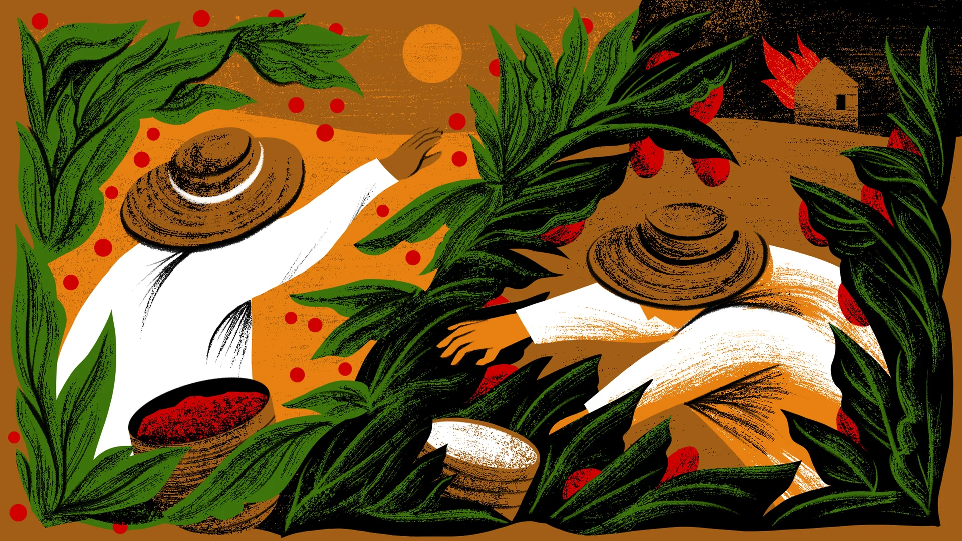 Article_Banner_Cocoa,_Coffee,_Cocaine-_A_Bitter-Sweet_Future_for_Farmers_in_Colombia.webp