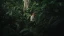 Article_Banner_Ernst_Götsch.webp