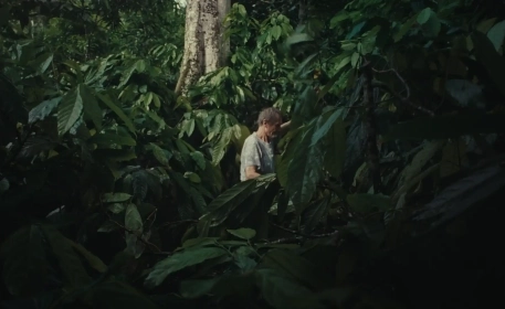 Ernst Götsch - The ‘Crazy Guy’ That Revived a Rainforest