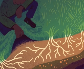 Why Soil Matters