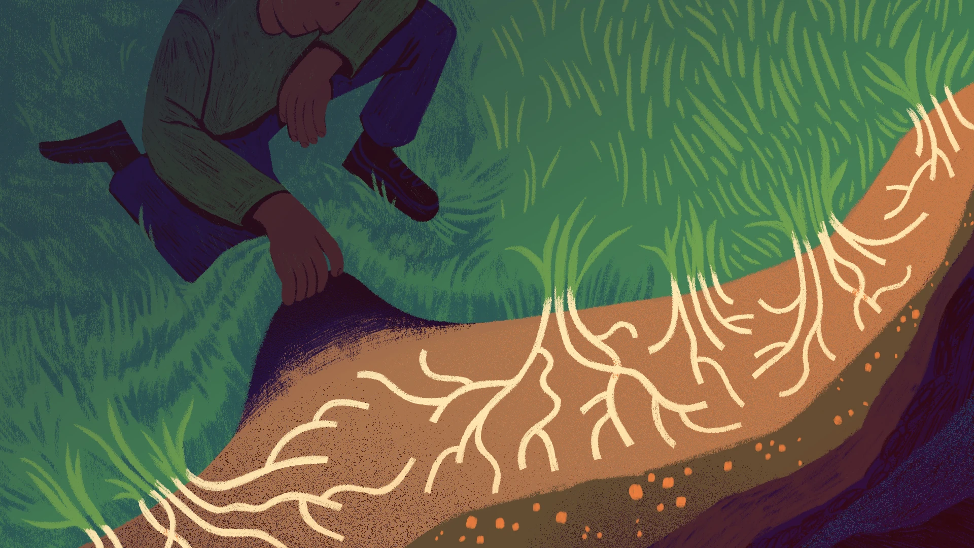 Article_Banner_why_soil_matters.webp