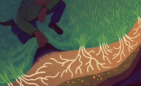 Why Soil Matters