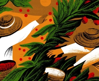 Article_Thumb_Cocoa,_Coffee,_Cocaine-_A_Bitter-Sweet_Future_for_Farmers_in_Colombia.webp