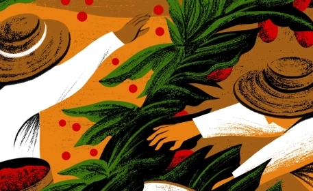 Cocoa, Coffee, and Cocaine: A Bitter-Sweet Future for Farmers in Colombia