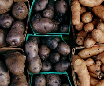 Article_Thumb_How_potatoes_shape_our_past,_present,_and_future.webp