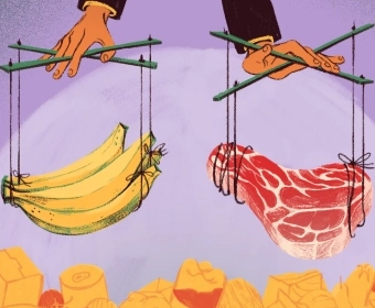 How Does Lobbying Impact our Food and Agricultural Policies?