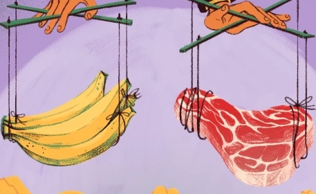 How Does Lobbying Impact our Food and Agricultural Policies?