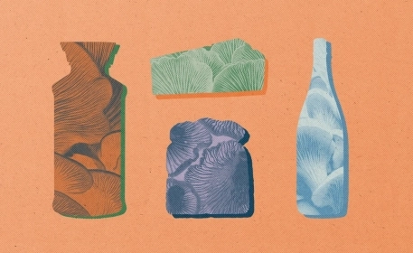 Fungi in Sustainable Food Production