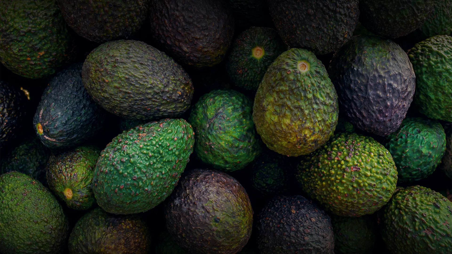 AvocadoCostofPorduction_Banner_Update1.webp