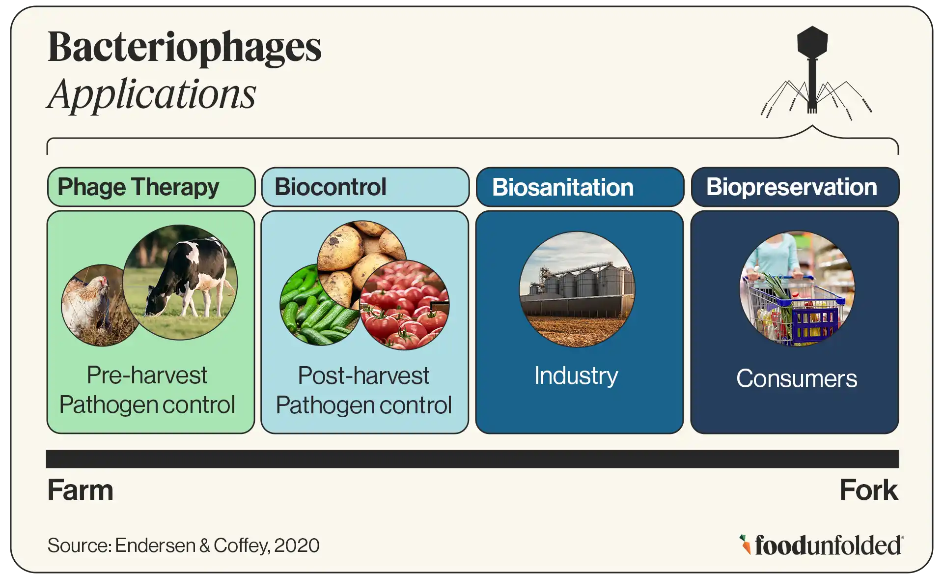 Bacteriophage applications 