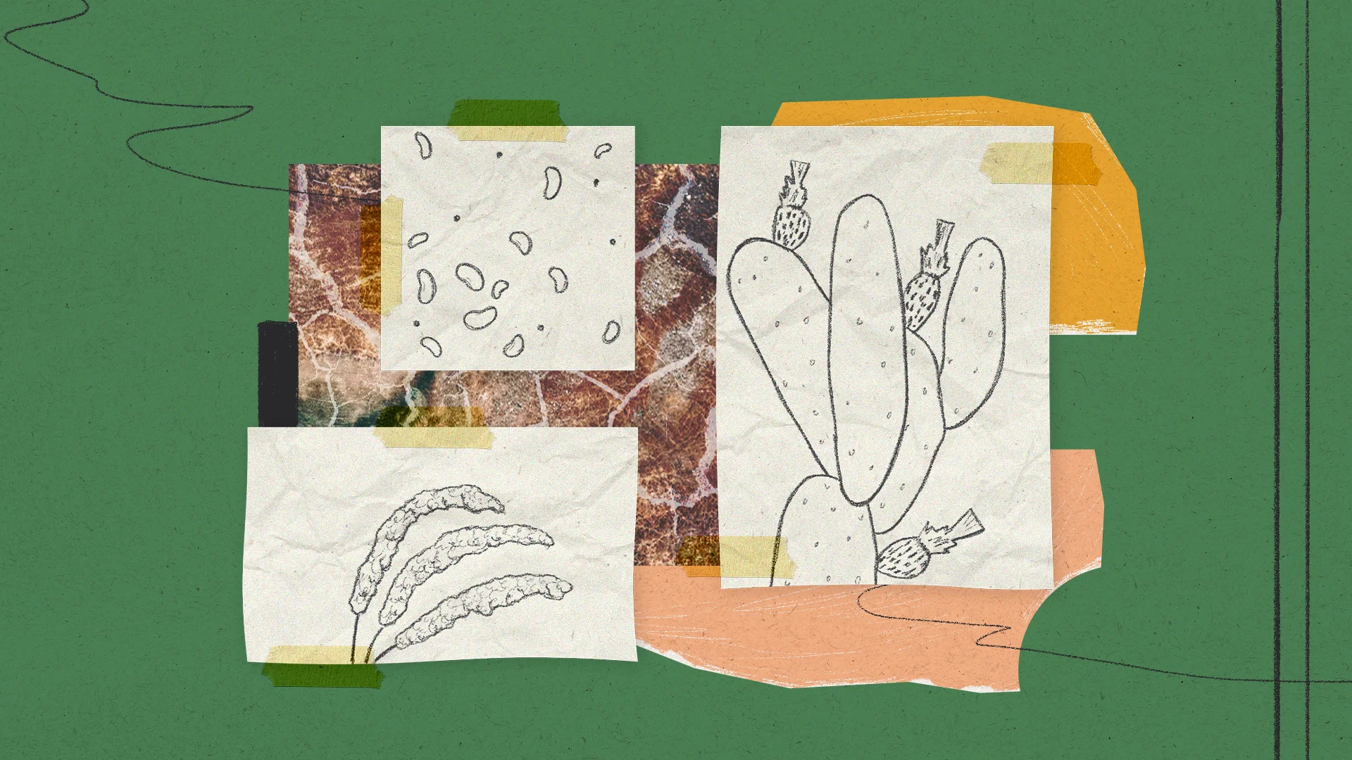 Banner_3_resilient_crops.webp