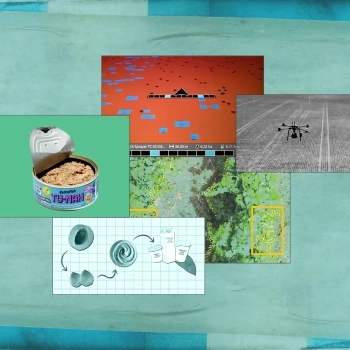 AI Robots and Plant-Based Tuna | 5 Start-Ups Making Farming More Sustainable