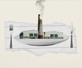 banner__decarbonisation.webp