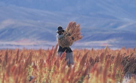 Building a Future with Crops From the Past