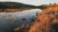 Banner_Kittelsen_(1)_2.webp