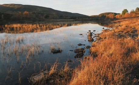 The Lost Wonders of a Dry Wetland