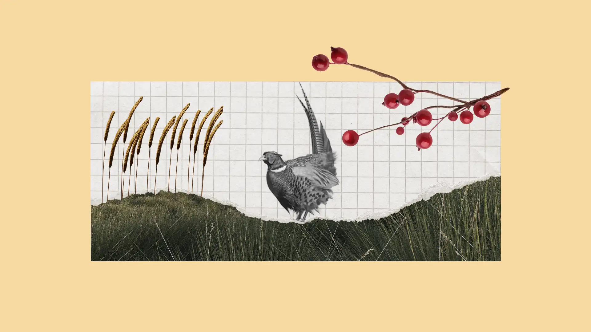 Banner_modern_food.webp