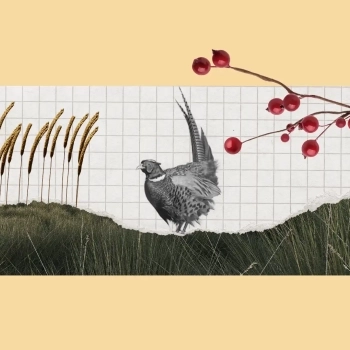 A Five-Course History Of Our Modern Food System