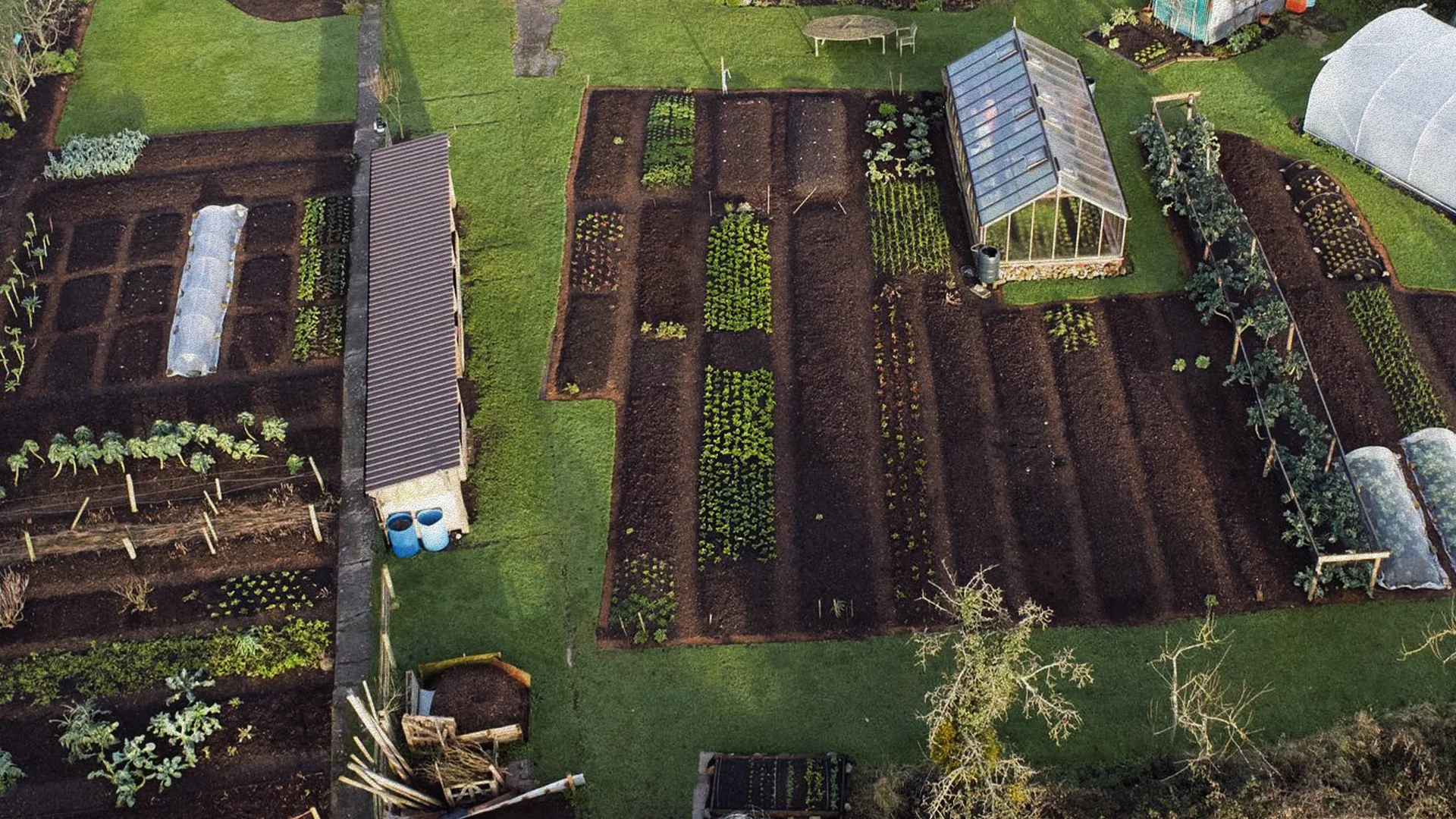 banner_no_dig_gardening.webp