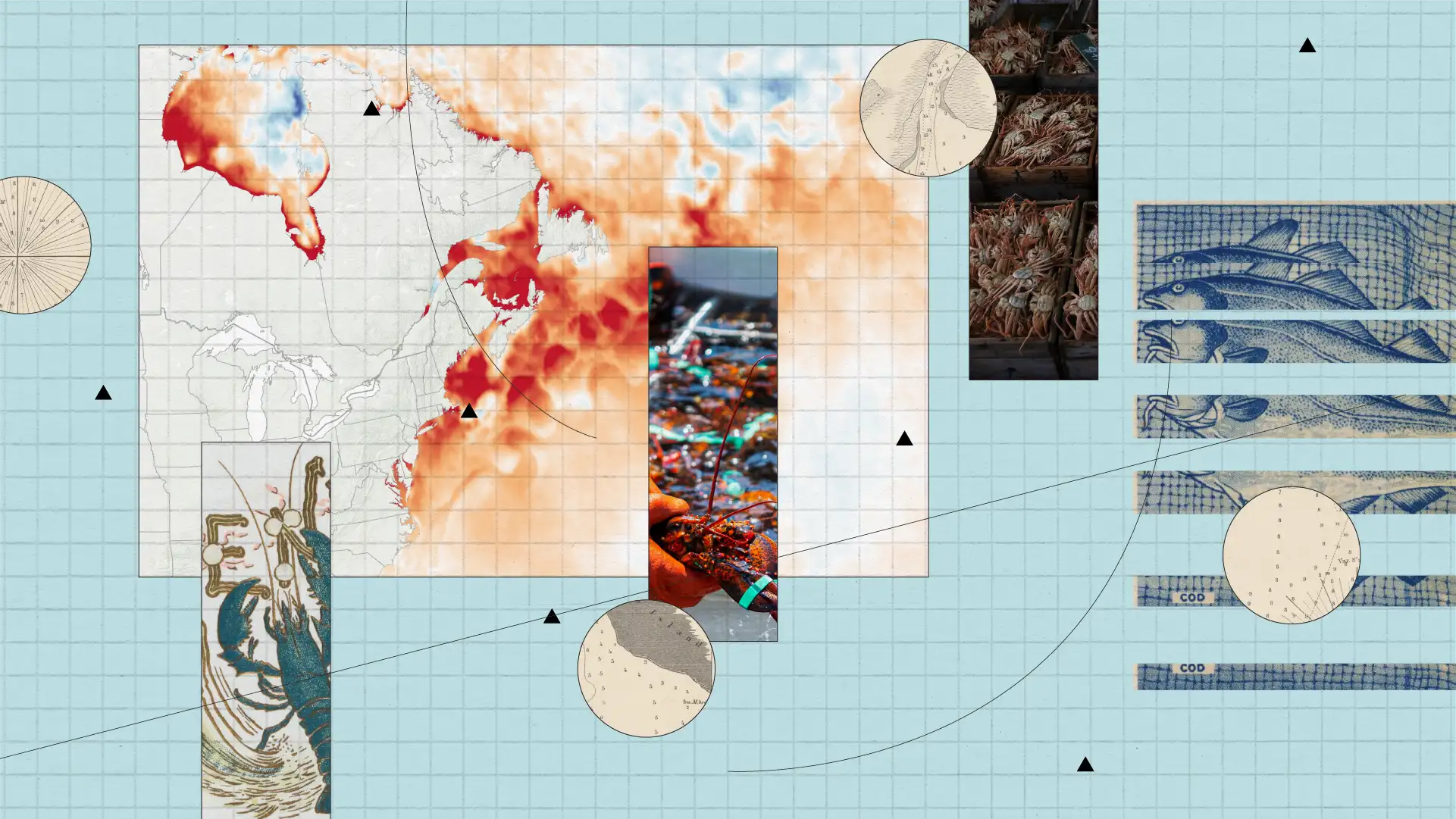 Bannerfutureseafood.webp